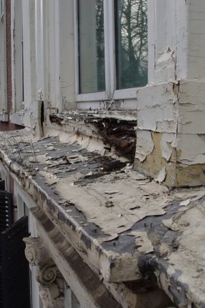 dsc05931_1558441944_524c6665